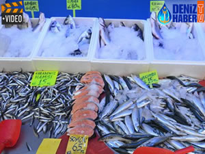 Balık sezonun kapanmasına günler kaldı