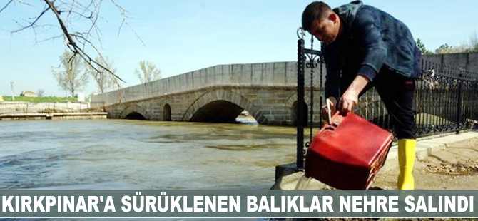 Kırkpınar'a sürüklenen balıklar nehre salındı
