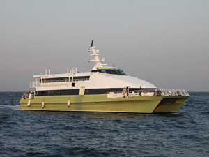 Bursa Deniz Otobüsleri'nin bazı seferleri iptal edildi