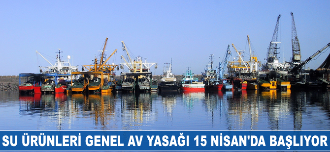 Su ürünleri genel av yasağı 15 Nisan’da başlıyor