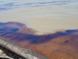 New Orleans'ta petrol sızıntısı yaşanıyor