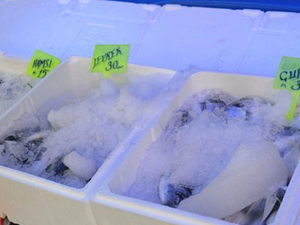 Tezgahlar dondurulmuş balığa kaldı