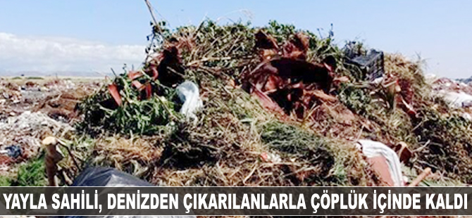 Yayla Sahili, denizden çıkarılanlarla çöplük içinde kaldı