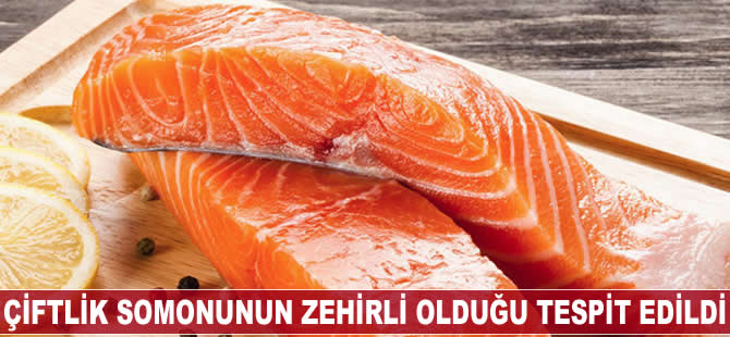 Çiftlik somonunun zehirli olduğu tespit edildi