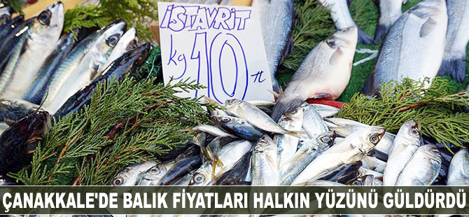 Çanakkale'de balık fiyatları sevindirdi