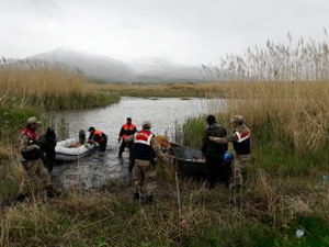 İnci kefali, Van'da korunmaya devam ediyor