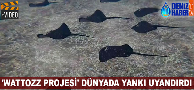 'Wattozz Projesi' dünyada yankı uyandırdı