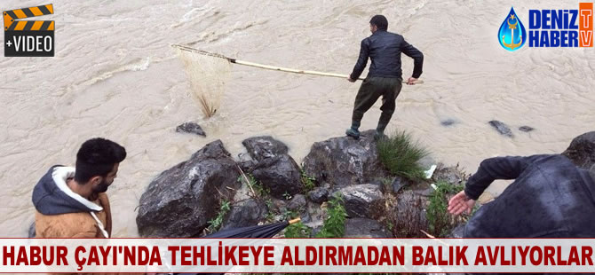 Habur Çayı'nda tehlikeye aldırmadan balık avlıyorlar