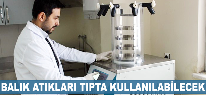 Balık atıkları tıpta kullanılabilecek