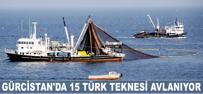 Gürcistan’da 15 Türk teknesi avlanıyor
