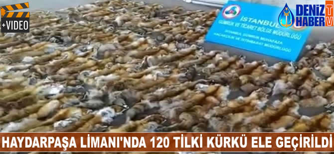 Haydarpaşa Limanı'nda 120 tilki kürkü ele geçirildi