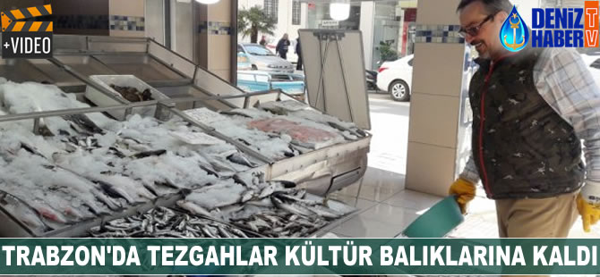 Trabzon'da tezgahlar kültür balıklarına kaldı