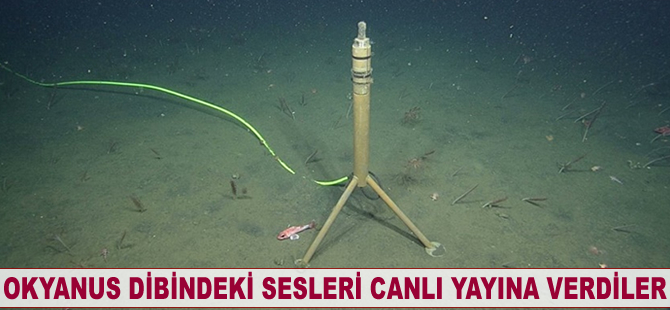 Okyanus dibindeki sesleri canlı yayına verdiler