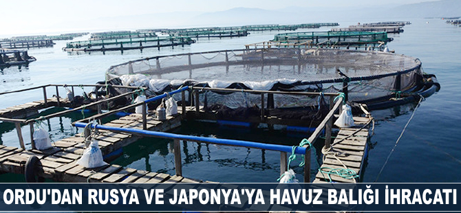 Ordu’dan Rusya ve Japonya’ya havuz balığı ihracatı