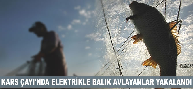 Kars Çayı'nda elektrikle balık avlayanlar yakalandı