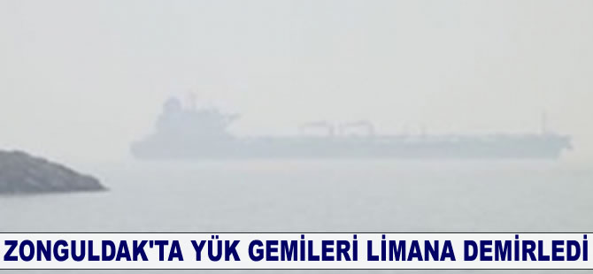 Zonguldak'ta sis nedeniyle yük gemileri limana demirledi