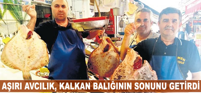 Aşırı avcılık, kalkan balığının da sonunu getirdi