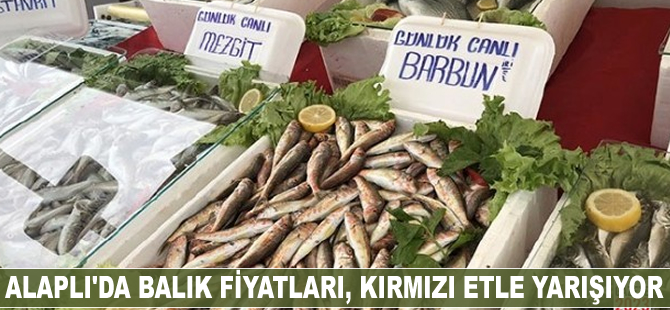 Balık fiyatları, kırmızı etle yarışıyor
