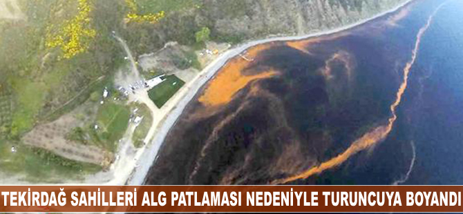 Tekirdağ sahilleri turuncuya boyandı