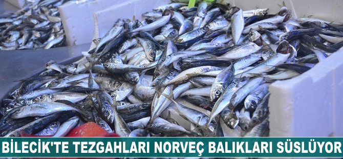 Bilecik'te tezgahları Norveç balıkları süslüyor
