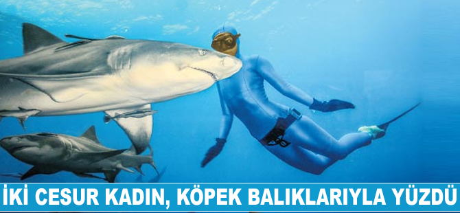 İki cesur kadın, köpek balıklarıyla yüzdü