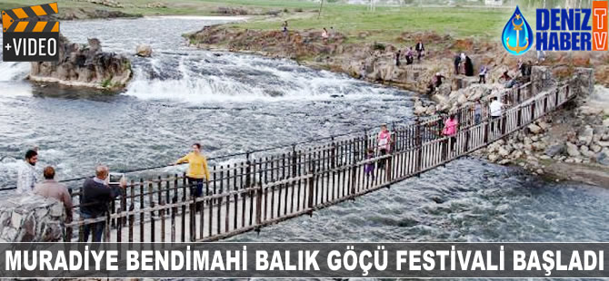 Muradiye Bendimahi Balık Göçü Festivali başladı