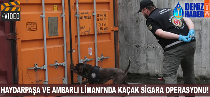 Haydarpaşa ve Ambarlı Limanı'nda 5 konteyner kaçak sigara tespit edildi