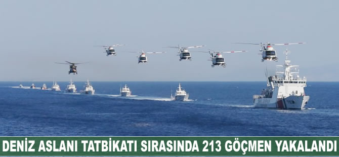Deniz Aslanı Tatbikatı sırasında 213 göçmen yakalandı