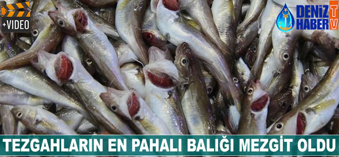 Tezgahların en pahalı balığı mezgit oldu