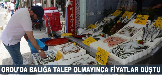 Ordu'da balığa talep olmayınca fiyatlar düştü