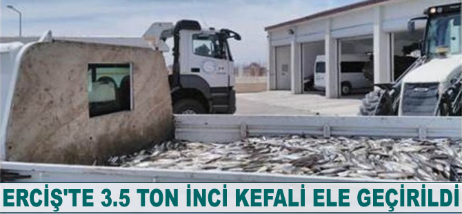 Ercişte 3.5 ton inci kefali ele geçirildi