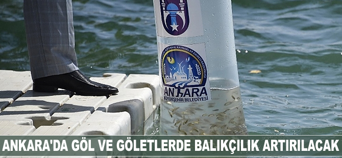 Ankara'da göl ve göletlerde balıkçılık artırılacak