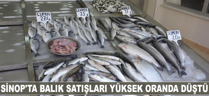 Sinop'ta balık satışları yüksek oranda düştü