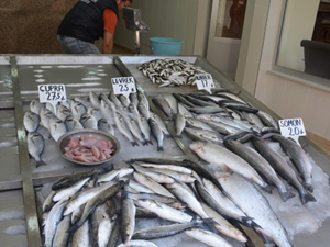 Sinop'ta balık satışları yüksek oranda düştü