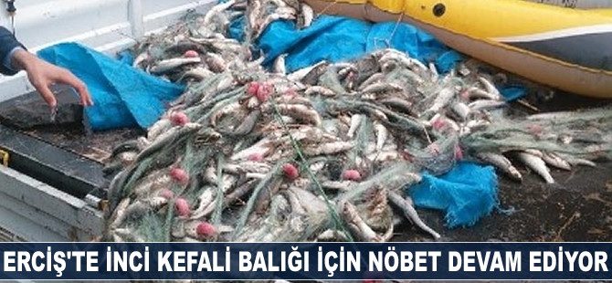 Erciş'te inci kefali balığı için nöbet devam ediyor