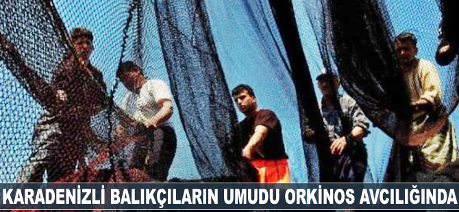 Karadenizli balıkçıların umudu orkinos avcılığında