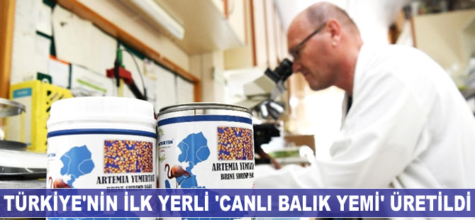 Türkiye'nin ilk yerli canlı balık yemi üretildi