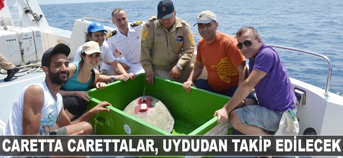 Caretta carettalar, uydudan takip edilecek