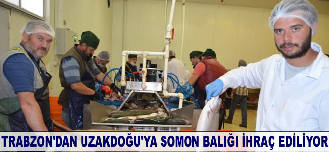 Trabzon'dan Uzakdoğu'ya somon balığı ihraç ediliyor