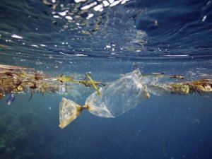 AB, tek kullanımlık plastikleri yasaklamayı planlıyor