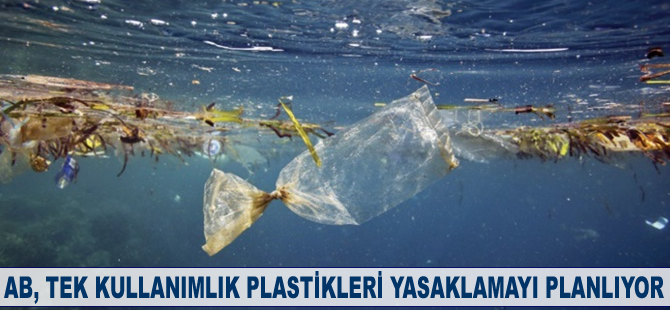 AB, tek kullanımlık plastikleri yasaklamayı planlıyor