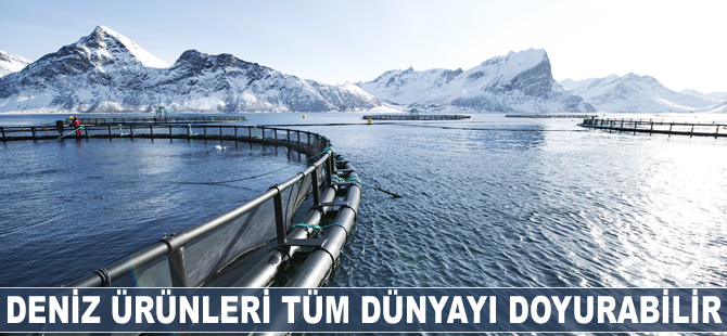Deniz ürünleri tüm dünyayı doyurabilir