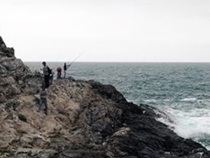 Amatör balıkçılar, dalgalara rağmen limanı doldurdu