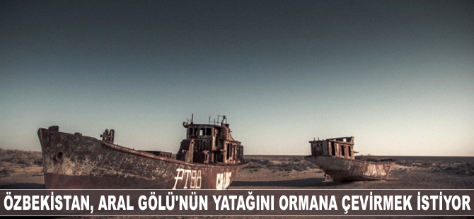 Özbekistan, Aral Gölü'nün yatağını ormana çevirmek istiyor