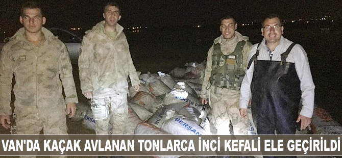 Van'da kaçak avlanan tonlarca inci kefali ele geçirildi