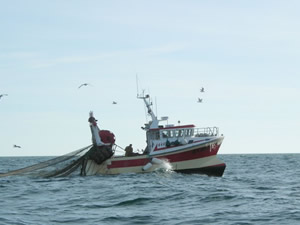 Kıyı balıkçılarına destek ödemesi yapılacak
