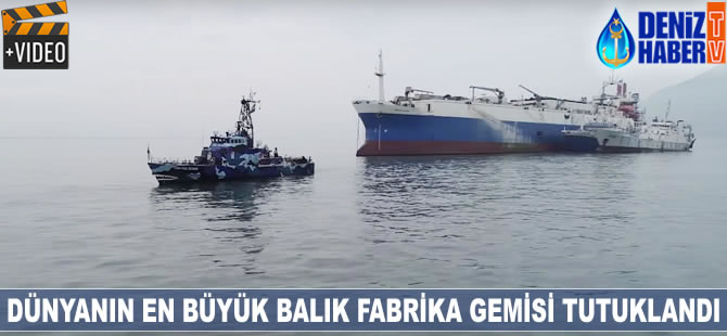 Dünyanın en büyük balık fabrika gemisi tutuklandı