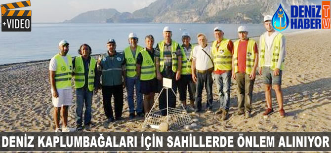 Deniz kaplumbağaları için sahillerde çadır ve ateş yasaklandı
