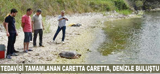 Tedavisi tamamlanan caretta caretta, denizle buluştu