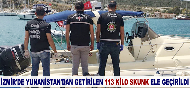İzmir'de 113 kilo skunk ele geçirildi